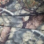 PS1/N5RR7-1 Produs nou 2022 Material textil din polispandex 100D imprimat, laminat cu 3 straturi și fleece din polietilenă